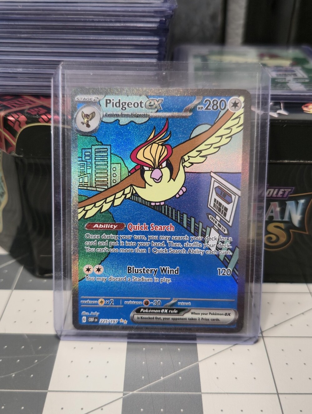 Pidgeot EX Holographic Card Lot